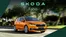 Catalogus van Škoda in De Lier | Škoda Fabia prijslijst per 1 januari 2025 | 2025-02-08T00:00:00.000Z - 2026-02-08T00:00:00.000Z