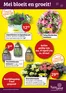 Catalogus van Tuinland in Koningsbosch | Exclusieve deals voor onze klanten | 2026-04-27T00:00:00.000Z - 2026-05-10T00:00:00.000Z