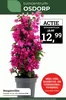 Catalogus van Tuincentrum Osdorp in Hattem | Tuincentrum Osdorp Verkoop | 2026-04-29T00:00:00.000Z - 2026-05-12T00:00:00.000Z