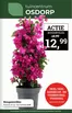 Catalogus van Tuinmaximaal in Etten | Tuinmaximaal Verkoop | 2026-05-05T00:00:00.000Z - 2026-05-12T00:00:00.000Z