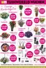 Catalogus van TuinWereld in Gapinge | Tuinwereld Wijchen | 2026-05-07T00:00:00.000Z - 2026-05-13T00:00:00.000Z