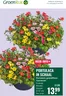Catalogus van GroenRijk | Geweldig aanbod voor alle klanten | 2026-05-21T00:00:00.000Z - 2026-05-27T00:00:00.000Z