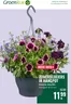 Catalogus van GroenRijk in Harskamp | Exclusieve deals voor onze klanten | 2026-06-11T00:00:00.000Z - 2026-06-17T00:00:00.000Z