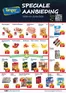 Catalogus van Tanger Markt | Speciale Aanbieding | 2026-06-19T00:00:00.000Z - 2026-06-25T00:00:00.000Z