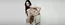 Catalogus van Zadig & Voltaire | Zadig & Voltaire Promo | 2026-06-23T00:00:00.000Z - 2026-07-07T00:00:00.000Z