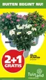 Tuinland folder in Haaksbergen | Tuinland folder | 2026-07-11T00:00:00.000Z - 2026-07-25T00:00:00.000Z