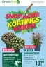 Catalogus van GroenRijk | Grote selectie aanbiedingen | 2026-07-30T00:00:00.000Z - 2026-08-05T00:00:00.000Z
