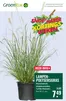 Catalogus van GroenRijk | Exclusieve koopjes | 2026-07-30T00:00:00.000Z - 2026-08-05T00:00:00.000Z