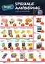 Catalogus van Tanger Markt | Speciale Aanbieding | 2026-08-04T00:00:00.000Z - 2026-08-06T00:00:00.000Z