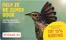 Catalogus van Vivara | Help Ze De Zomer Door | 2026-08-12T00:00:00.000Z - 2026-08-26T00:00:00.000Z