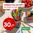 Catalogus van Pipoos | Pipoos Verkoop | 2026-08-12T00:00:00.000Z - 2026-08-26T00:00:00.000Z
