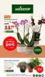 Welkoop folder in Baarn | Actuele koopjes en aanbiedingen | 2026-09-07T00:00:00.000Z - 2026-09-20T00:00:00.000Z
