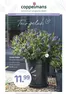 Coppelmans folder in Leusden | Coppelmans folder | 2026-09-09T00:00:00.000Z - 2026-09-20T00:00:00.000Z