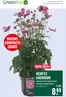 Catalogus van GroenRijk in Easterwierrum | Grote selectie aanbiedingen | 2026-09-10T00:00:00.000Z - 2026-09-16T00:00:00.000Z