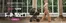 Catalogus van Baby & Tiener in Zuidlaren | Baby Tiener folder | 2026-09-10T00:00:00.000Z - 2026-09-24T00:00:00.000Z