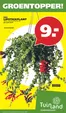 Tuinland folder in Heino | Actuele deals en aanbiedingen | 2026-09-19T00:00:00.000Z - 2026-10-04T00:00:00.000Z