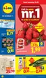 Catalogus van Lidl in Hilvarenbeek | 2809 - 0410 | 2026-09-28T00:00:00.000Z - 2026-10-04T00:00:00.000Z
