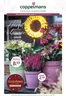 Coppelmans folder in Dokkum | Coppelmans folder | 2026-10-14T00:00:00.000Z - 2026-10-25T00:00:00.000Z