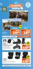 Albert Heijn folder in Boskoop | Exclusieve deals voor onze klanten | 2026-10-29T00:00:00.000Z - 2027-02-28T00:00:00.000Z