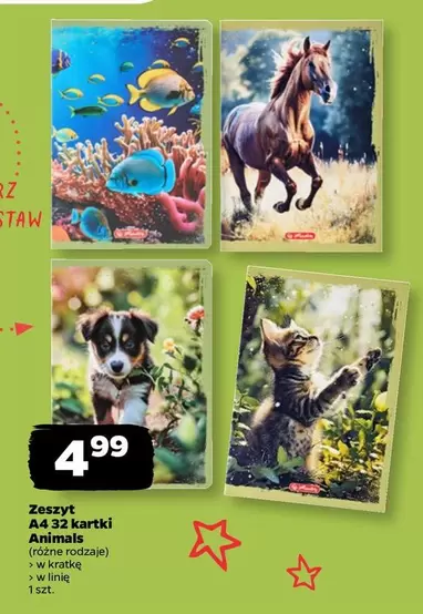 Zeszyt A4 32 kartki Animals