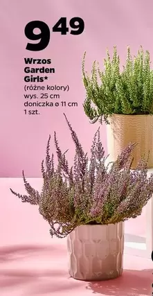 Wrzos Garden Girls