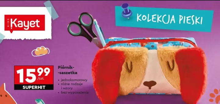 Piórnik-saszetka