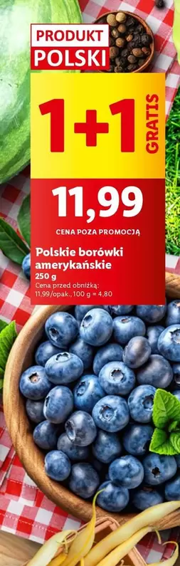 Polskie borówki amerykańskie
