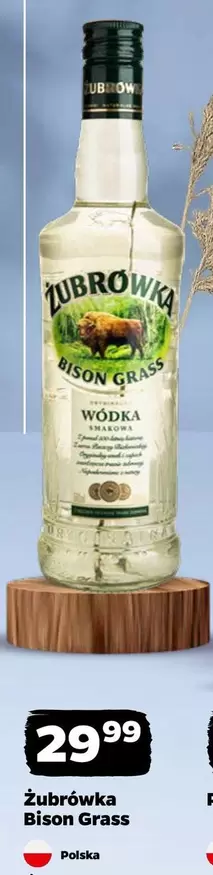 Bison Grass