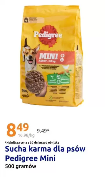 Mini - Sucha karma dla psów