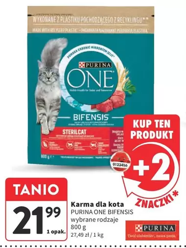 One - Karma dla kota