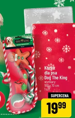 Kocyk dla psa