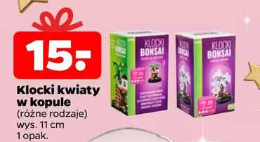 Klocki kwiaty w kopule