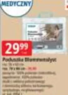 Poduszka Blanewszystyc