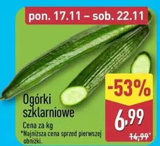 Ogórki szklarniowe