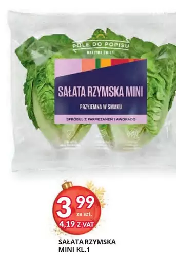 Mini - SAŁATA RZYMSKA MINI