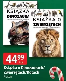 Książka o Dinozaurach/ Zwierzętach/Kotach