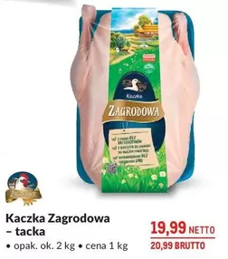 Ok - Kaczka Zagrodowa - tacka