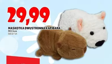MASKOTKA DWUSTRONNA KAPIBARA