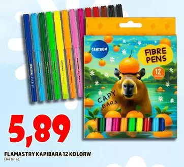 Centrum - FLAMASTRY KAPIBARA 12 KOLORW