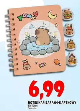 NOTES KAPIBARA 64-KARTKOWY
