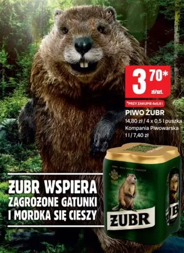 PIWO ZUBR