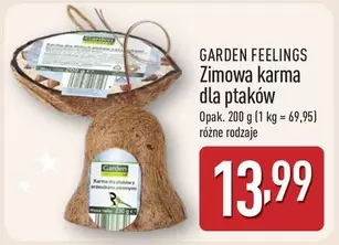 Zimowa karma dla ptaków