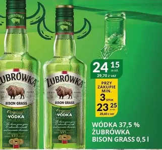 ŻUBRÓWKA BISON GRASS