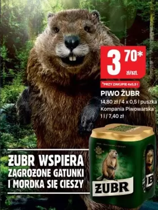 PIWO ŻUBR