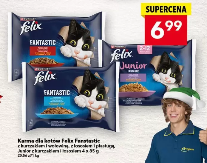 Karma dla kotów Fanstastic