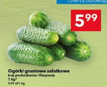 Ogórki gruntowe sałatkowe