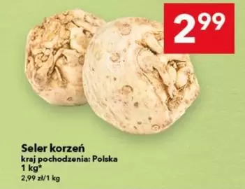 Seler korzeń