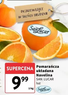 Pomarańcza Navelina