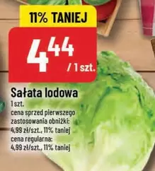 Sałata lodowa