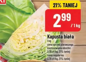 Kapusta biała